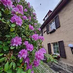Lesna Z Ogrodem *