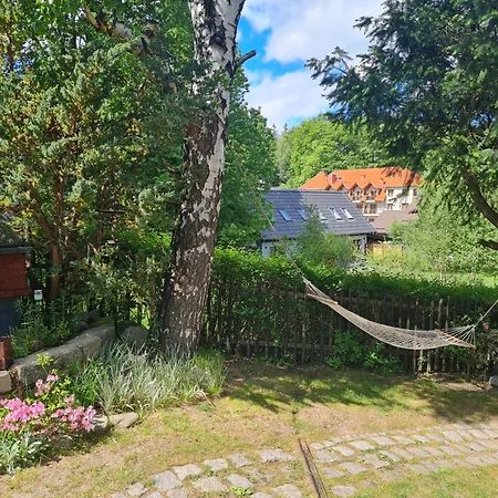 Lesna Z Ogrodem