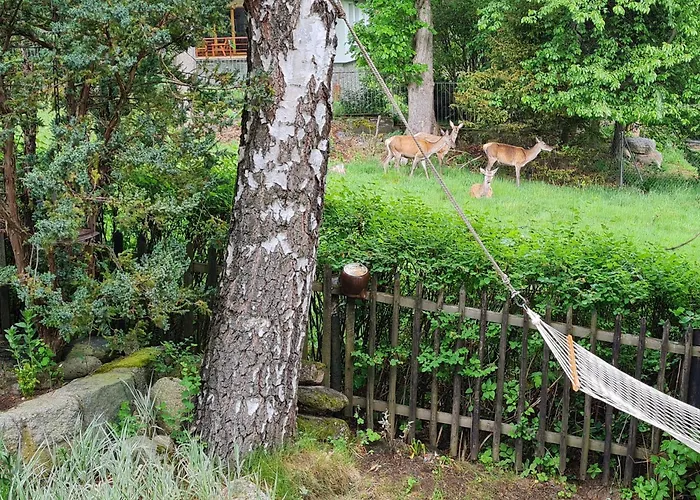 Lesna Z Ogrodem Apartment *